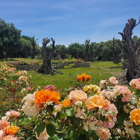 La Roja Grand Luxury 3 Bedrooms Апартаменты Вентимилья